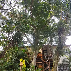 https://house-nalua.santa-catarina-brasil.com